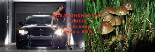 МДПВ Богданович