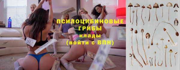 МДПВ Богданович